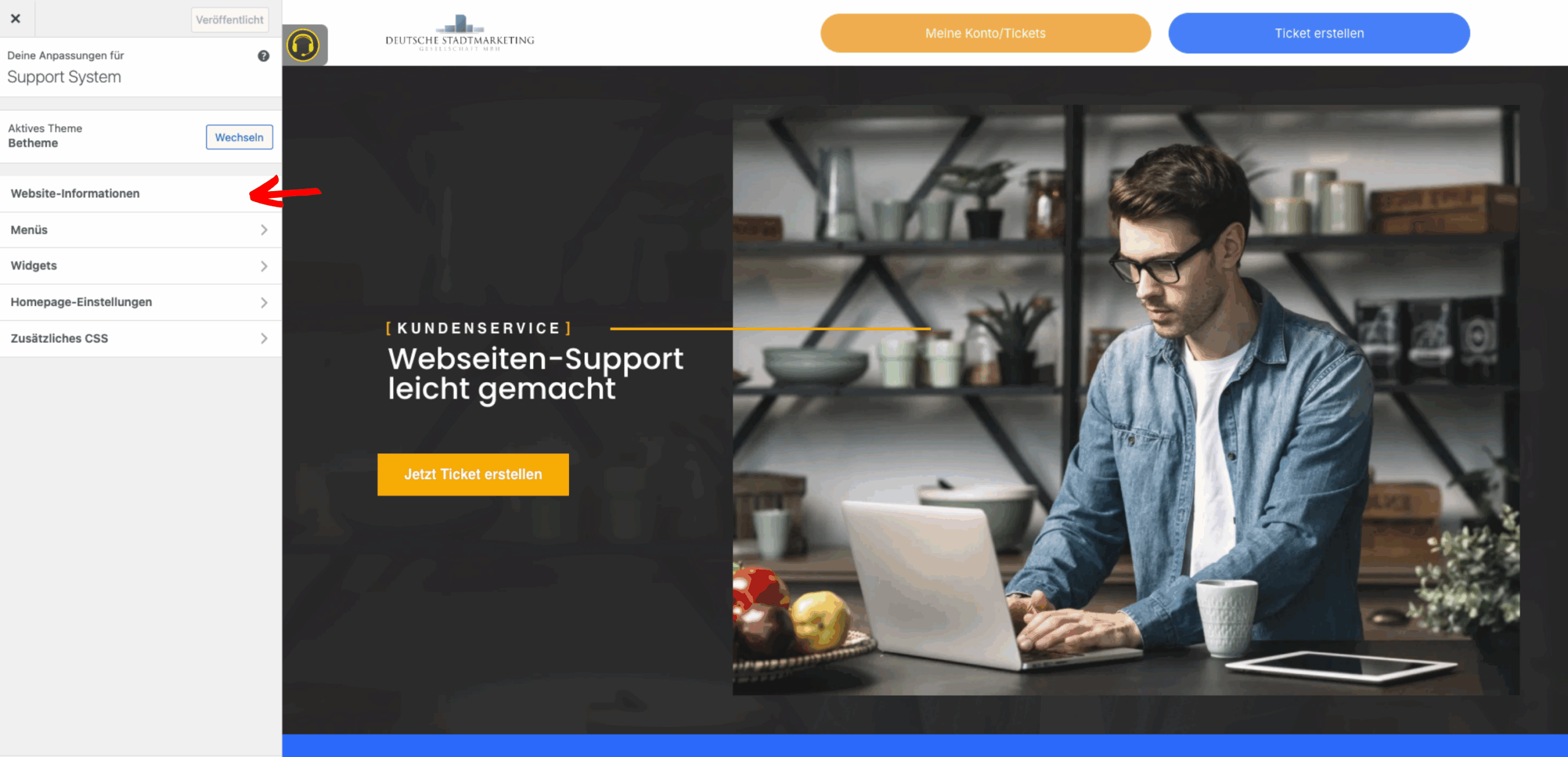 WordPress-Customizer mit geöffnetem Bereich „Website-Informationen“. Links sind Logo, Titel und Website-Icon zu sehen; das aktuelle Logo und das Favicon sind markiert. Rechts wird eine Vorschau der Website angezeigt.